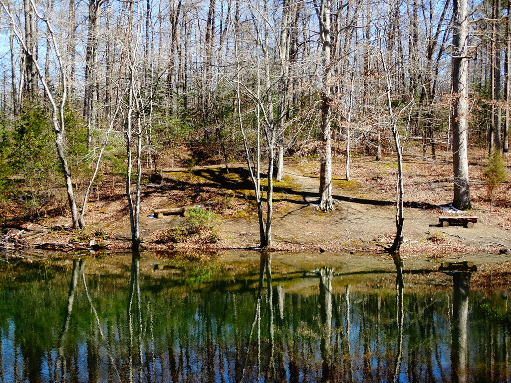 Carter's Pond by khawbecker