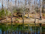 8th Mar 2014 - Carter's Pond