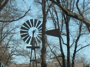 8th Mar 2014 - windmill