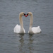 Love in the Air by selkie