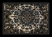 8th Mar 2014 - Carpet Abstract