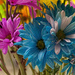 Crazy Daisies 2 by lstasel
