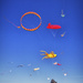 Kites Over Kapiti by helenw2