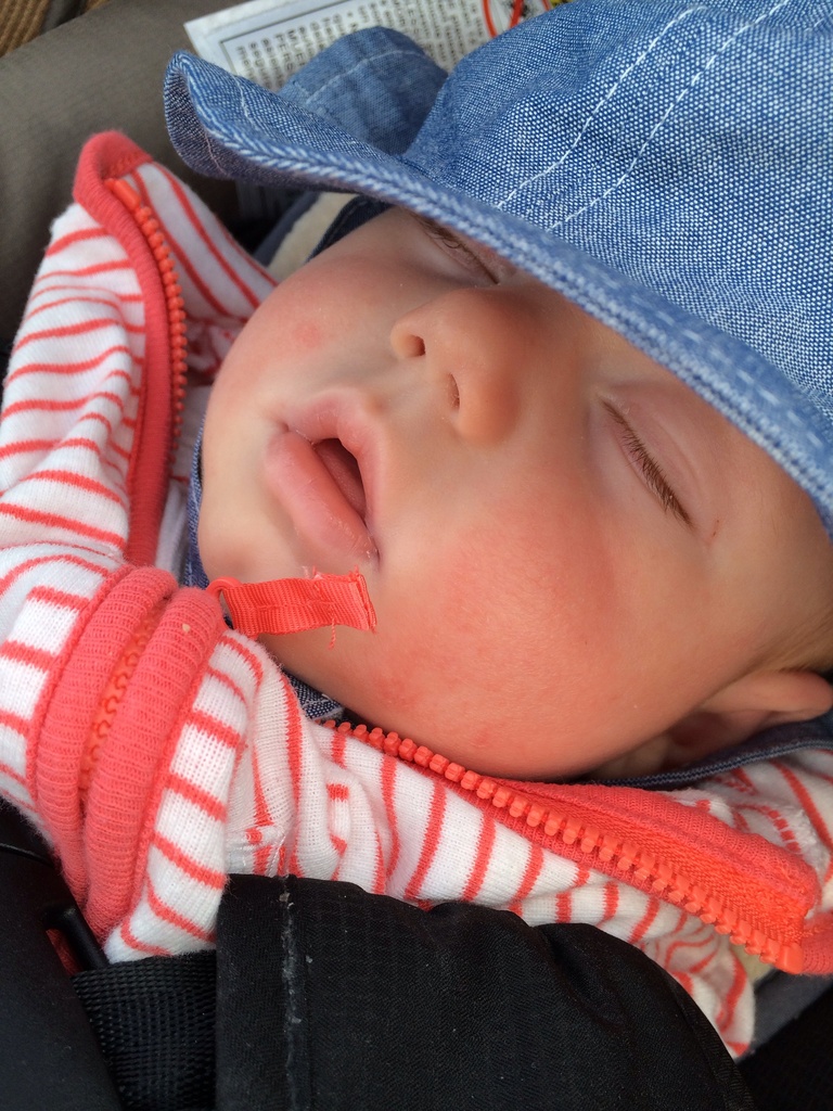 First spring training game - she slept through almost the entire thing! by doelgerl