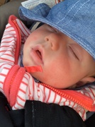 8th Mar 2014 - First spring training game - she slept through almost the entire thing!