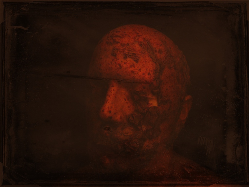 Portrait of a head not severed by mcsiegle