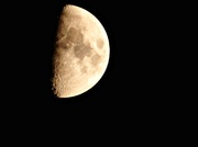 5th Mar 2014 - The Half Moon (taken on the 9th)