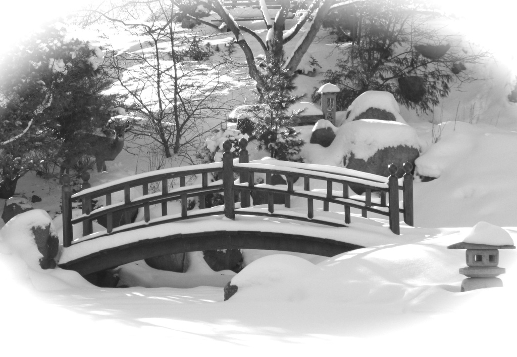 Winter Scene by juletee