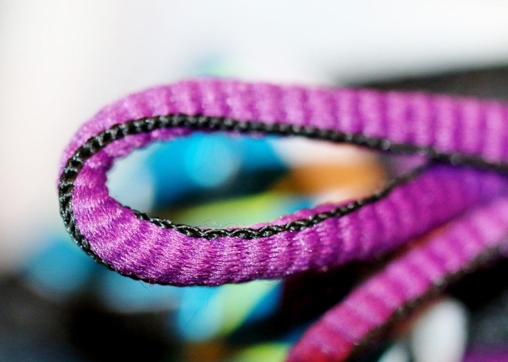 Purple Shoestring by lynnz