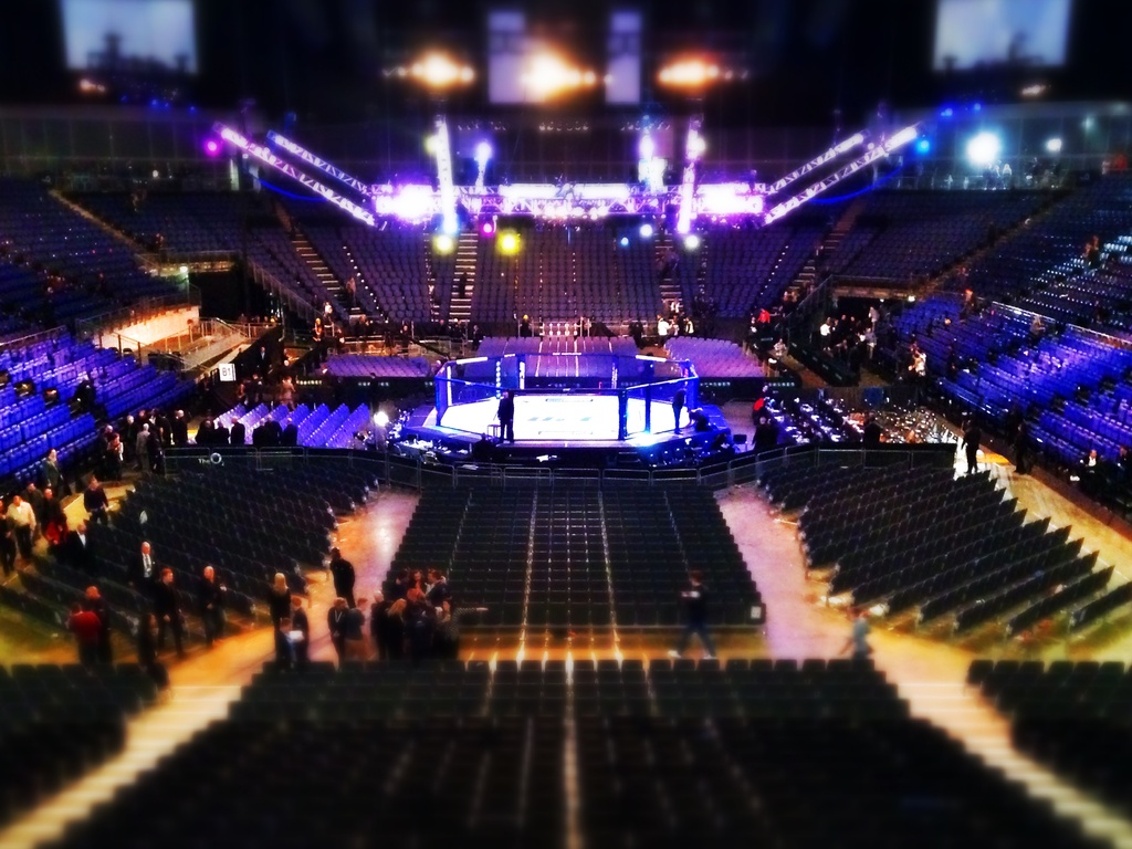 Day 067, Year 2 - UFC Fight Night by stevecameras