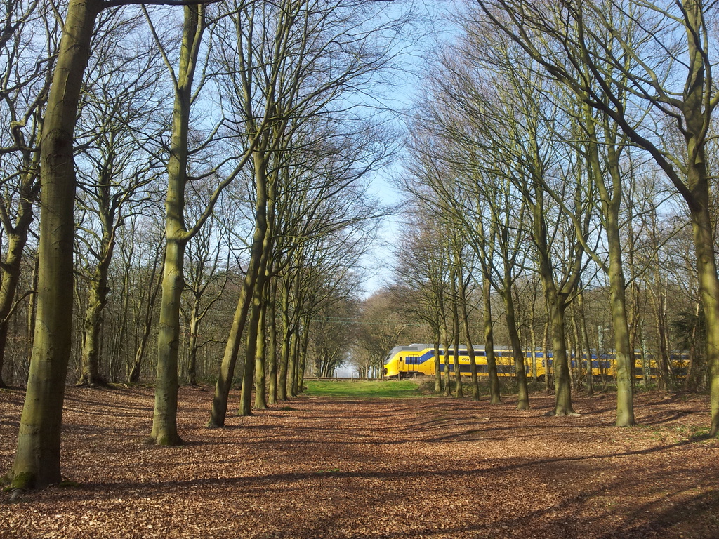 Heiloo - Westerweg by train365