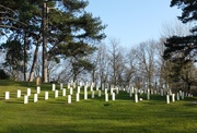 10th Mar 2014 - Netley Military Cemetery....