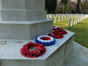 8th Mar 2014 - In the Military Cemetery...