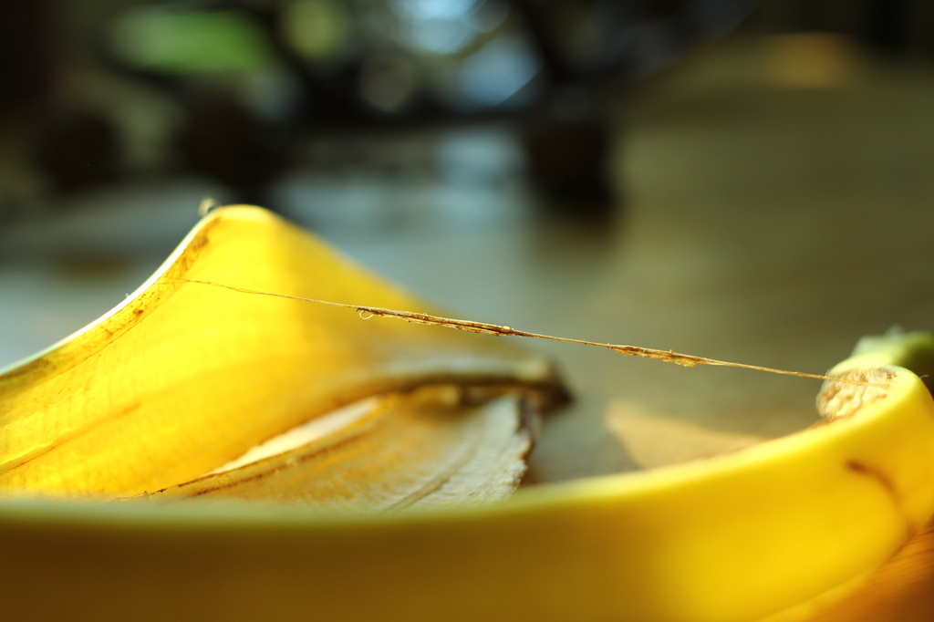 Banana tightrope by sabresun