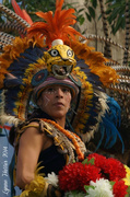 11th Mar 2014 - Mayan Dance