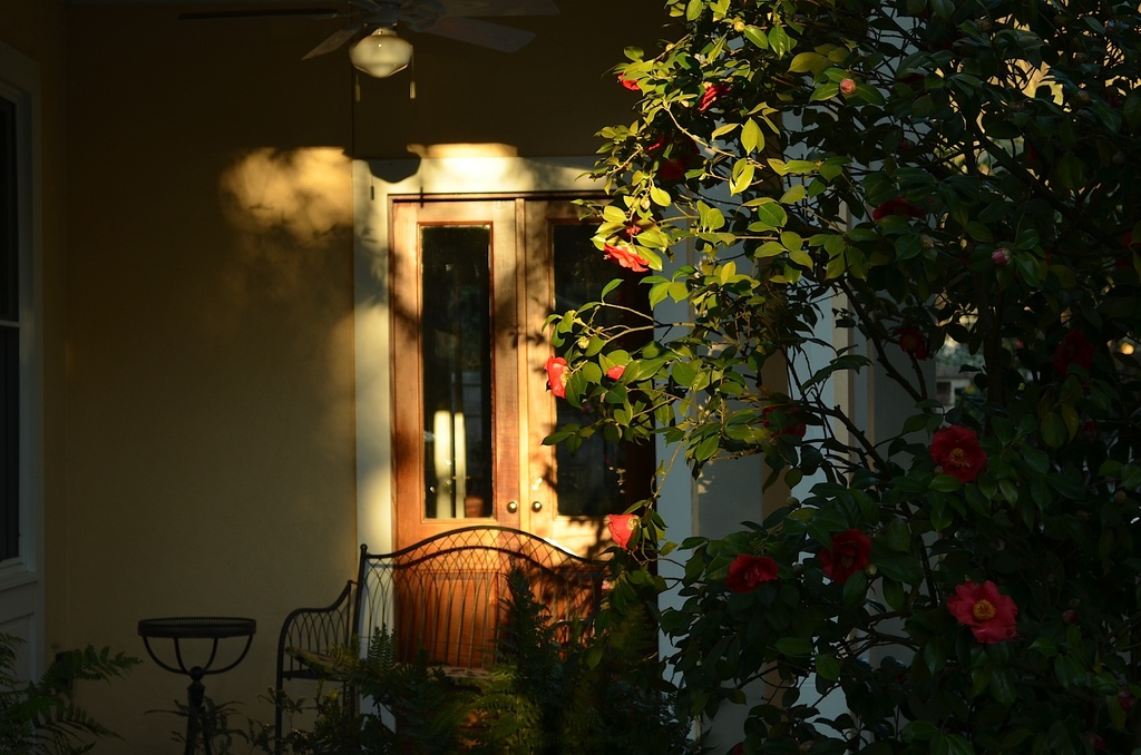 Late afternoon light, historic district, Charleston, SC by congaree