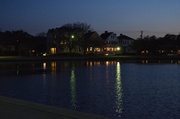 11th Mar 2014 - Early evening at Colonial Lake, Charleston, SC