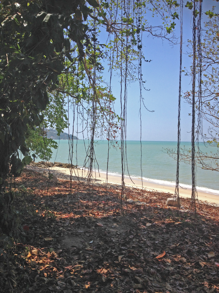 Beachside Vines Tanjun Bungah by ianjb21