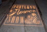 11th Mar 2014 - Portland Flower Show