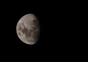 11th Mar 2014 - Moon