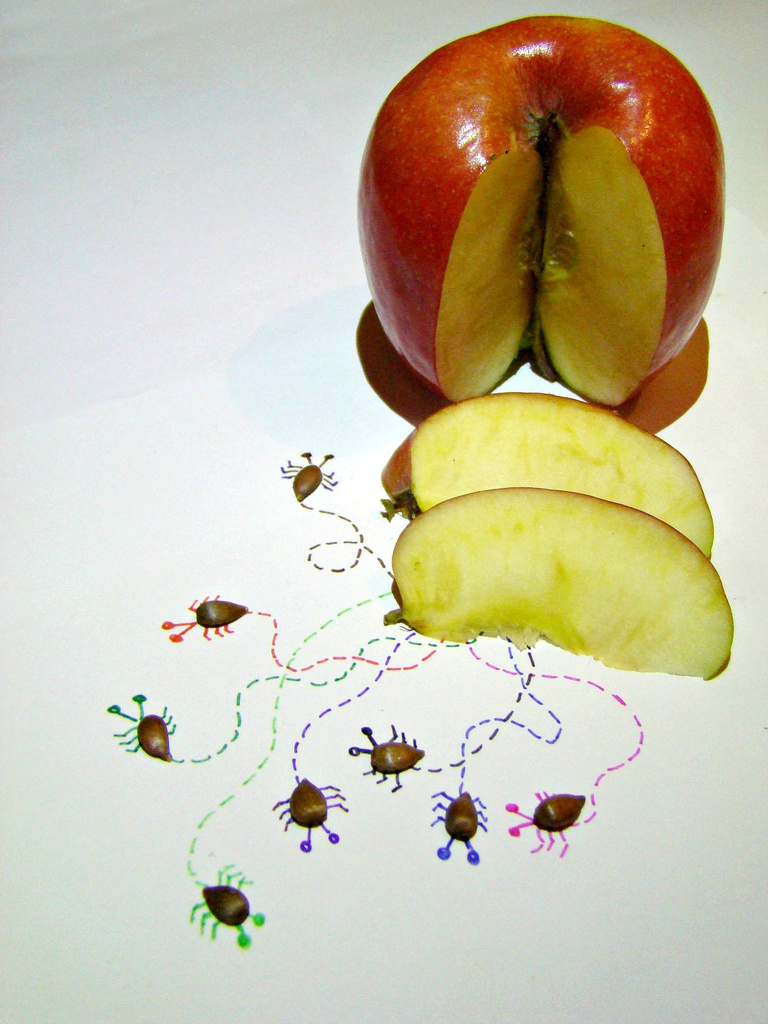 Mar 11: Apple Seeds by bulldog