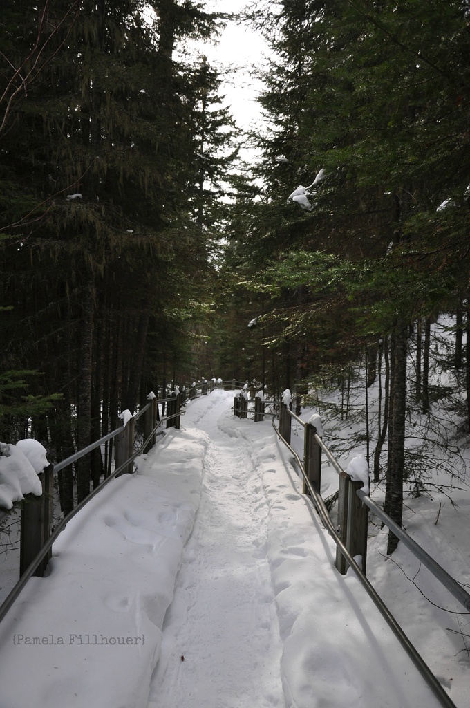 the path... by earthbeone