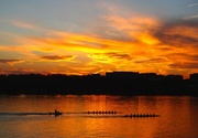 11th Mar 2014 - Rowing on the Potomac 