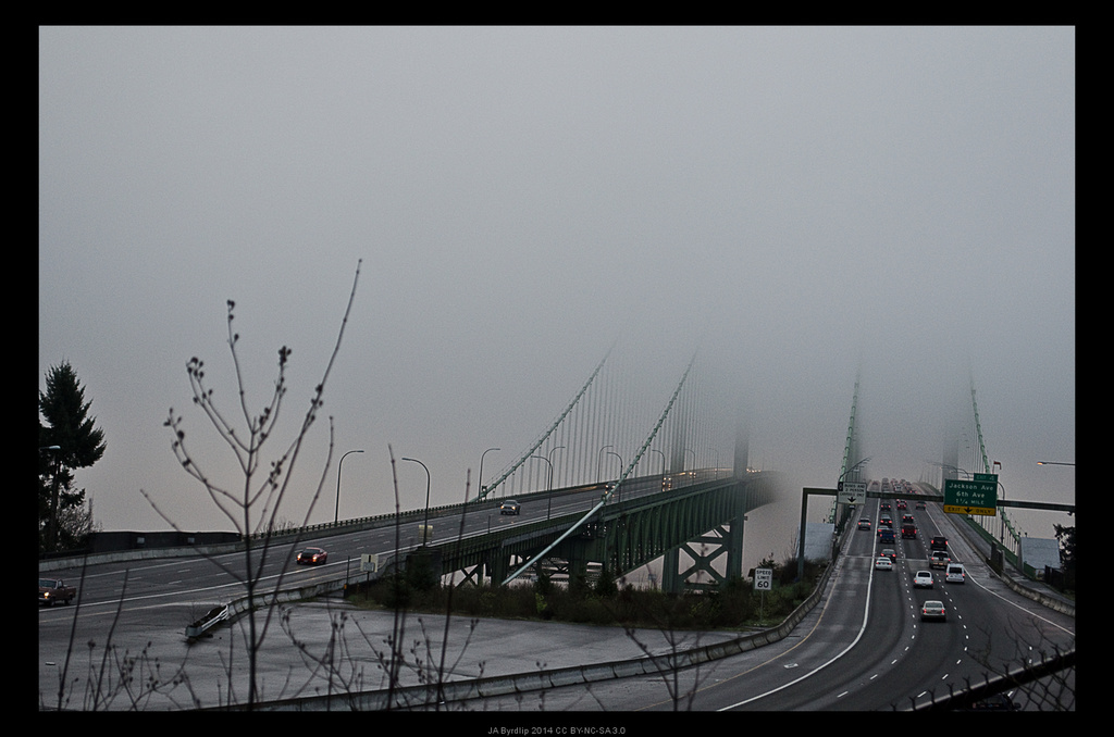 Tacoma Narrows - Into The Fog by byrdlip