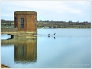 12th Mar 2014 - Pitsford Reservoir