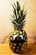 12th Mar 2014 - Mr. pineapple