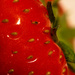 Strawberry by leonbuys83