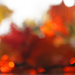 Autumnal Abstract by mzzhope