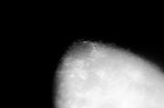12th Mar 2014 - The fuzzy side of the moon