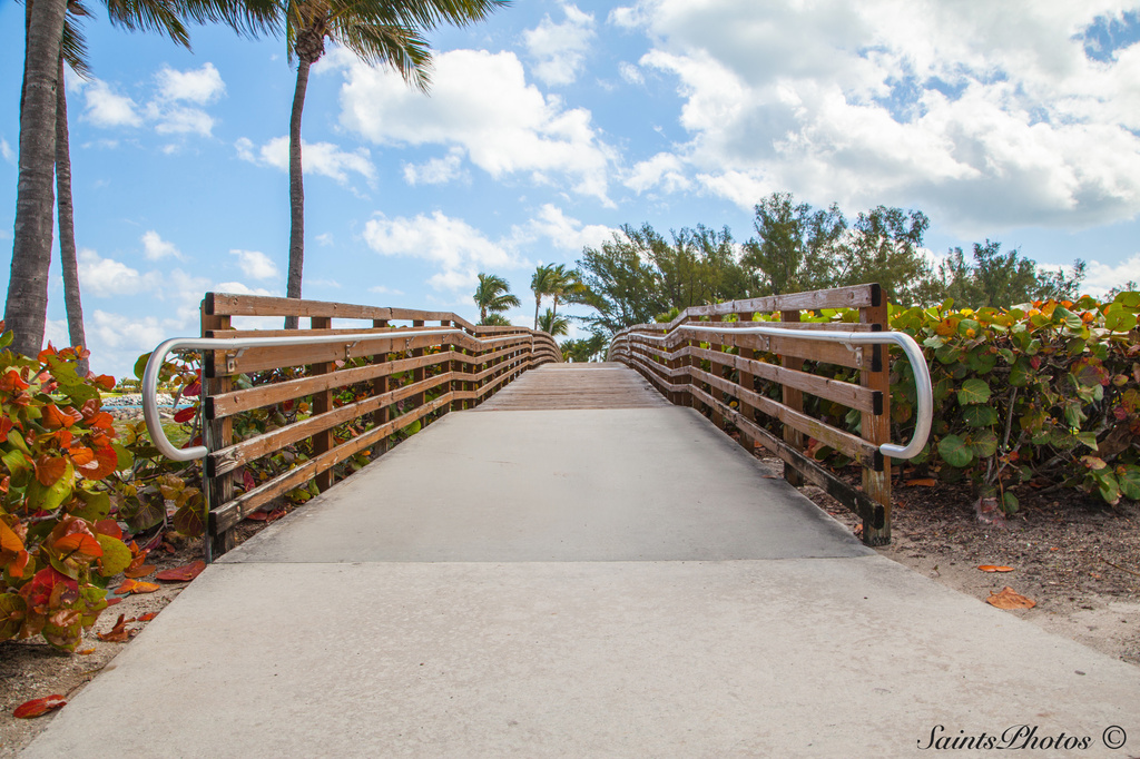 Foot Bridge by stcyr1up