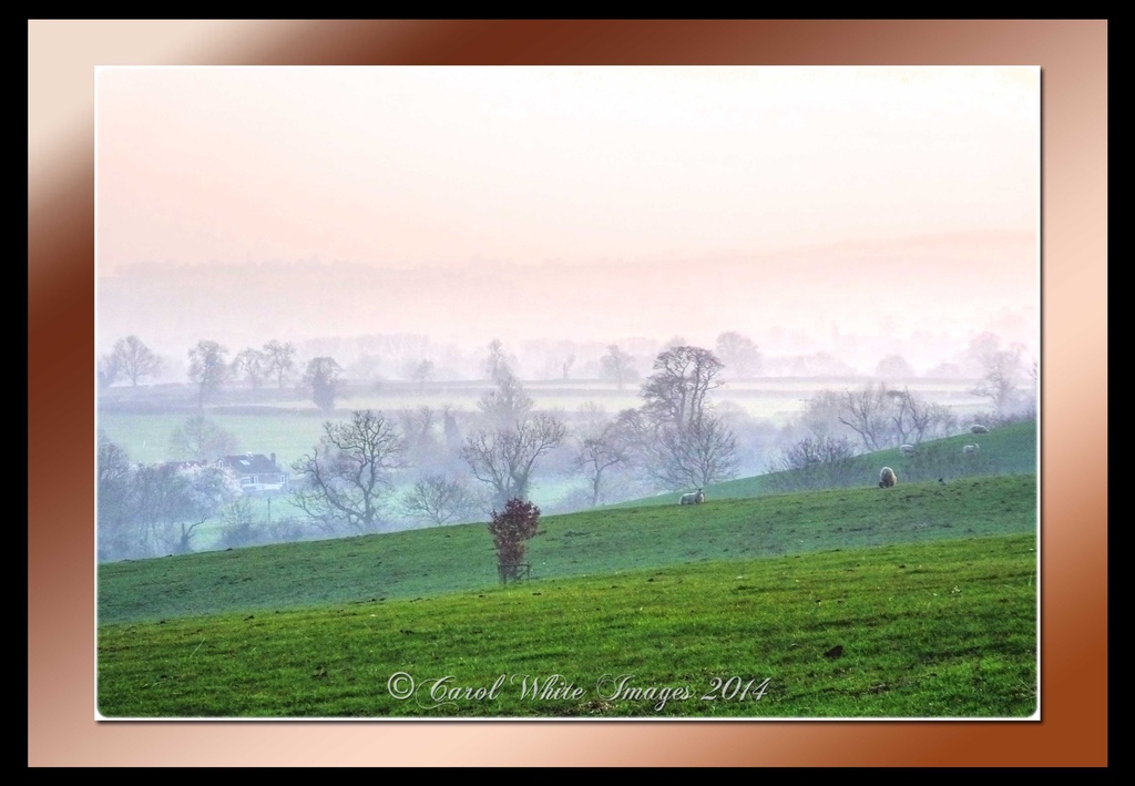 Evening Mist by carolmw
