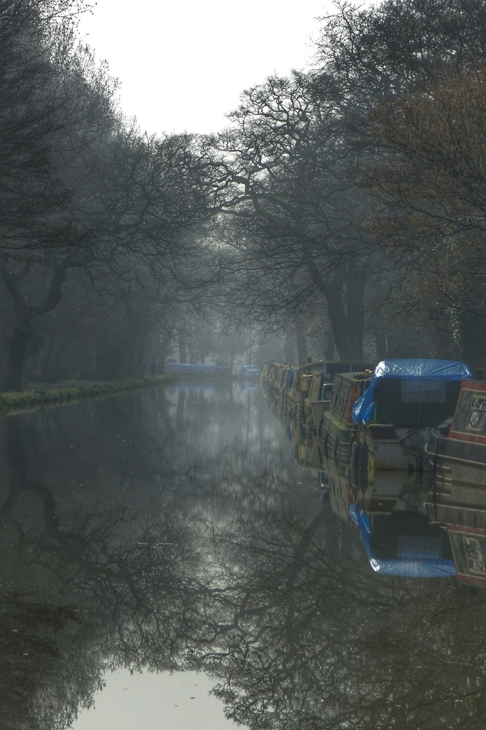 A foggy morning along the river by mattjcuk