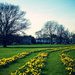 Day 072, Year 2 - Spring Has Sprung In Ealing by stevecameras