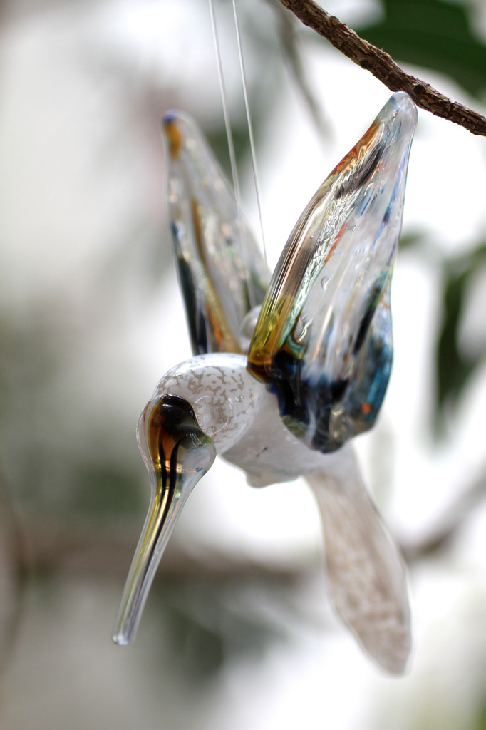 Glass Hummingbird by whiteswan