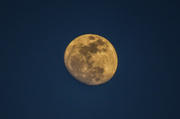13th Mar 2014 - Day Moon 