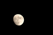 14th Mar 2014 - The moon