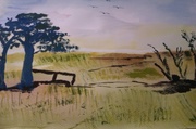 14th Mar 2014 - Today's water colour