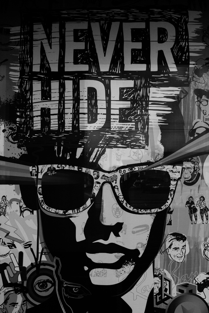 Never, Really, Never Hide by darylo