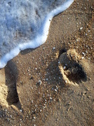 5th Dec 2013 - Footprint on the shore