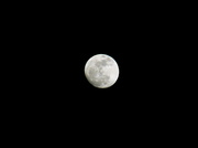 14th Mar 2014 - Full Moon???