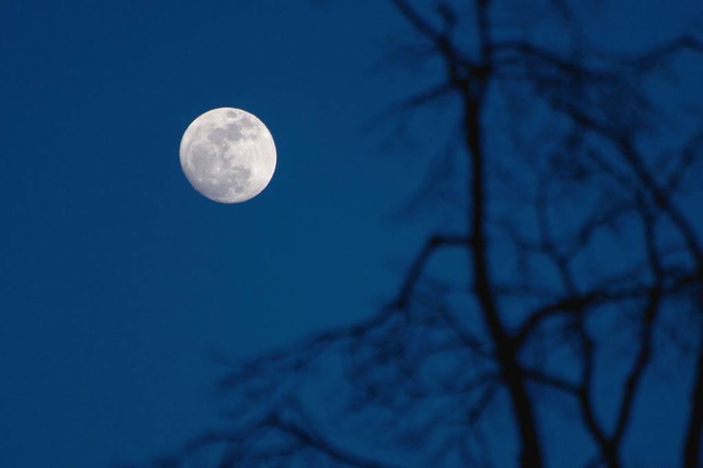 Good night, Moon by taffy