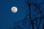 14th Mar 2014 - Good night, Moon