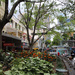 My Brisbane 6 - Queen St Mall by terryliv