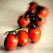 15th March 2014 - Tomatoes  by pamknowler