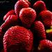 Strawberry's by tonygig