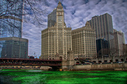15th Mar 2014 - St Patrick's Day in Chicago: Dyeing the River Green